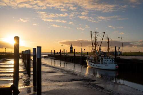 Kutterhafen am Abend - 