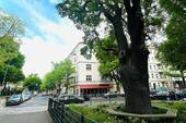 Blick zum Haus aus Richtung Volkspark Hasenheide - 