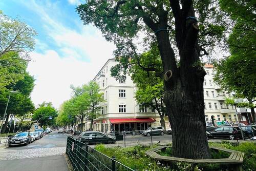 Blick zum Haus aus Richtung Volkspark Hasenheide - 