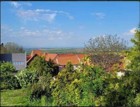 3608fb28-a993-41ec-a63f-449e5fdbc944-1936584332 - 