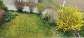 Garten im Süden - 
