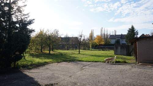 zweites Grundstück - 