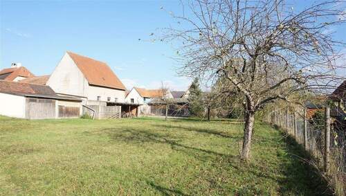 Tierhaltung oder Selbstversorgung - Bauernhaus, Landhaus zum Kaufen in Michelau i.Steigerwald