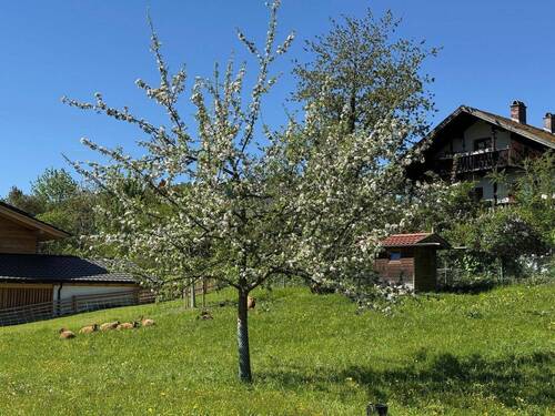 Idylle 1 Gehminute entfernt - 