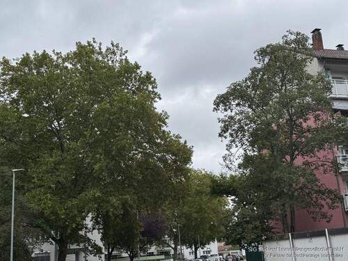 Umgebung - 3 Zimmer Etagenwohnung in Karlsruhe-Ost