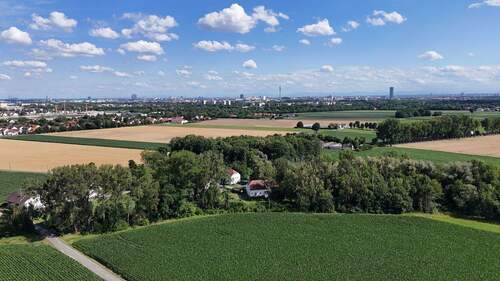 Umgebung - 