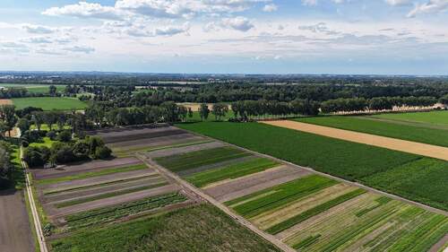Unsere Felder - 