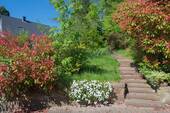Weg zum Haus - 