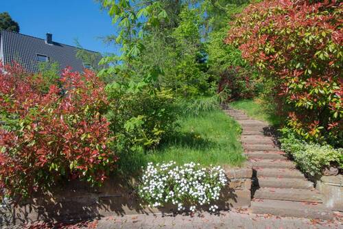 Weg zum Haus - 