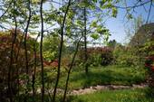 Garten - 