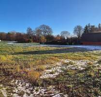 Franzburg: schönes Baugrundstück in ruhiger Lage Franzburg: schönes Baugrundstück in ruhiger Lage