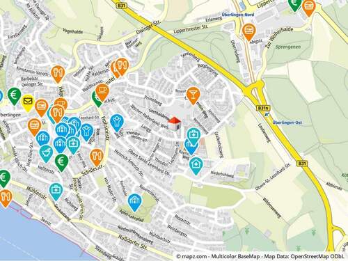 Geolyzer Kartenausschnitt - Grundstück in Überlingen zum Kaufen