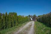 Blick vom Tor - 