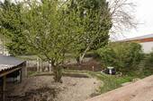 Blick von der Terrasse - 