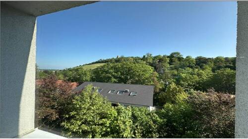Blick aus der Küche - 
