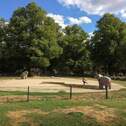 Forkenbeckpark - 