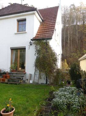 Hühner unten rechts - 