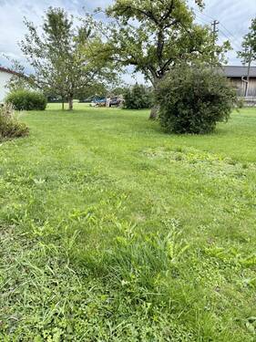 Garten - 