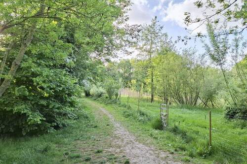Weg zur Wiese am Biotop - 
