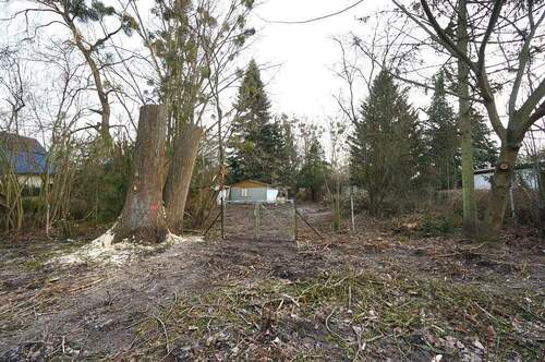 Zugang Grundstück - 