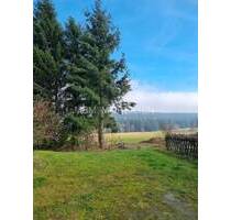 Wer die Ruhe liebt, ist hier genau richtig - Wunderschönes Grundstück mit unverbaubarem Blick in Altenberg