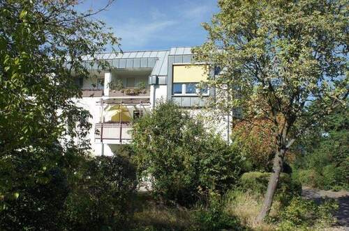 Blick auf die Wohnung und Loggia - 2 Zimmer Etagenwohnung zum Kaufen in Dresden