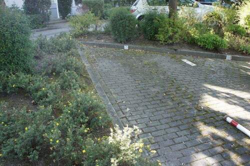 PKW-Stellplatz - 