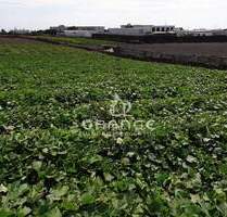 * 15.867 m² Grundstück auf Lanzarote - Bauland, Bauerwartungsland & Ackerfläche in attraktiver Lage * - Tias