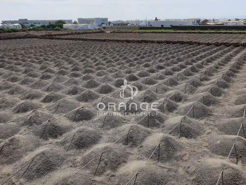 Ansicht - Grundstück in Tias