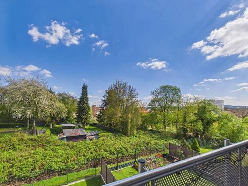 Blick ins Grüne Balkon 1 - 