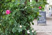 EMS8 - Umgebung - 