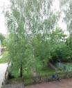 Hofblick - 