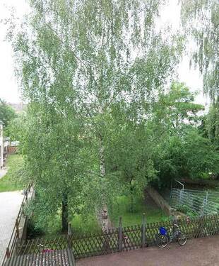 Hofblick - 