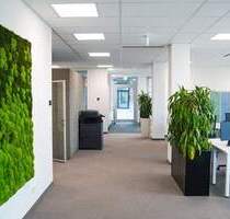 Top-modernes Flex-Desk im LEED-GreenHouse im Zentrum von Frechen