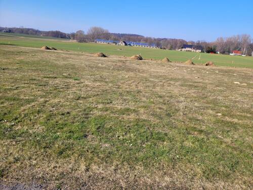 Ansicht - Grundstück zum Kaufen in Göda