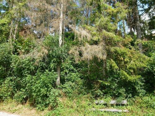 Grundstück Menden-Asbeck - Grundstück in Menden zum Kaufen