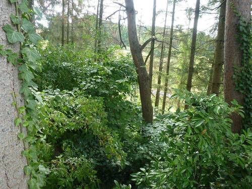 Grundstück Menden-Asbeck - 