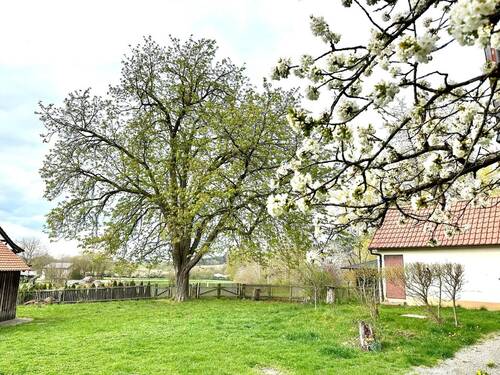 Bild 6 - 