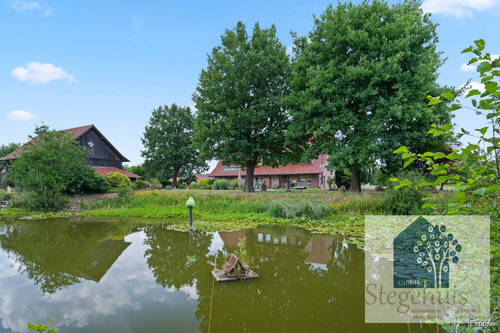 Teich - 
