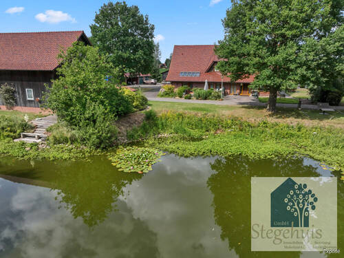 Teich - 