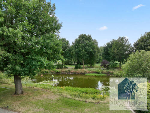 Teich - 