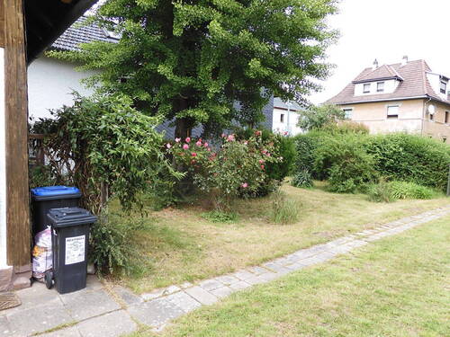 Garten Richtung Straße - 