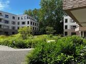 IMG_3898 - 