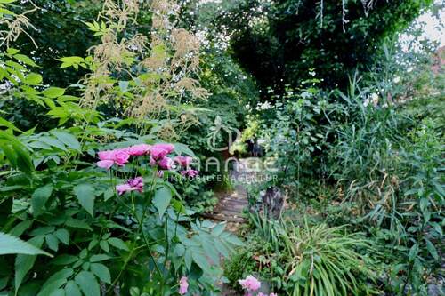 Garten - Grundstück zum Kaufen in Leipzig - Lindenthal
