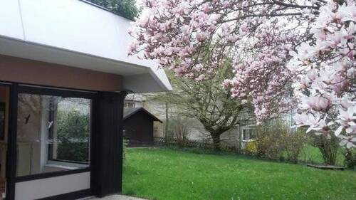 "eigener" Garten, Bild 2 - 