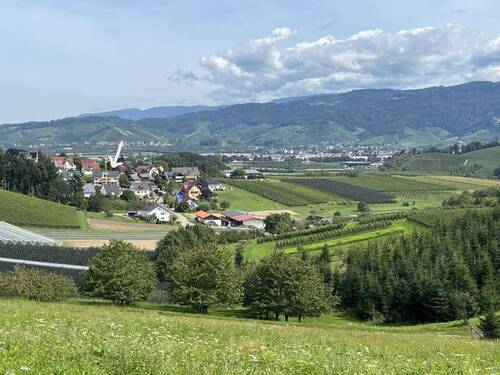 IMG_4878 - 4 Zimmer Etagenwohnung zum Kaufen in Oberkirch-Bottenau