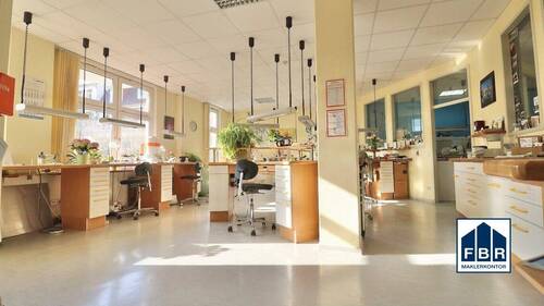 Lichtdurchflutete Räume - 5 Zimmer Büro in Schwerin