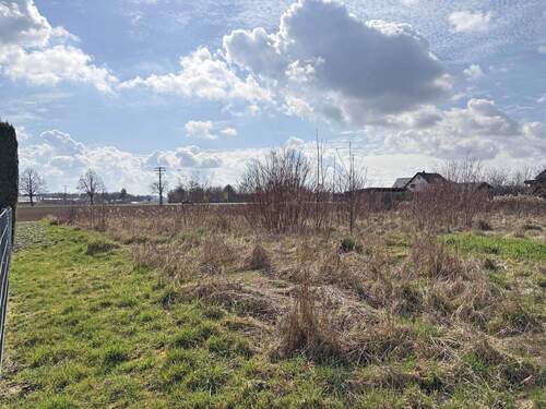 Ansicht 4 - Grundstück in Pfatter zum Kaufen