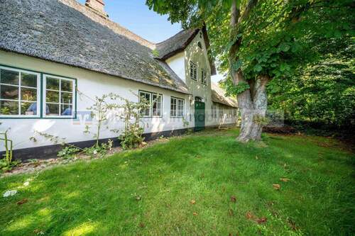 Ansicht - 1 Zimmer Einfamilienhaus in Sylt