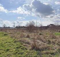 Schlagen Sie eine neue Seite im Buch Ihres Lebens auf - Pfatter Geisling